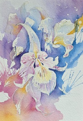 Aquarellbild abstrakter Orchideen in Rosa- und Blautönen